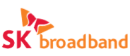 sk broadband