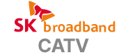 sk broadband catv