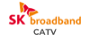 sk broadband catv