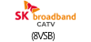 sk broadband catv(8VSB)