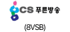 CS 푸른방(8VSB)